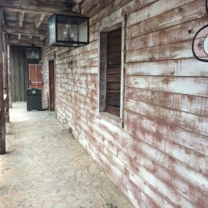 MAKING OFF SOBRE LA TRANSFORMACION DEL NUEVO PASAJE DEL TERROR