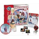 AUGMENTED REALITY HUMAN BODY (GRUPO CEFATOYS)