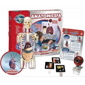 AUGMENTED REALITY HUMAN BODY (GRUPO CEFATOYS)
